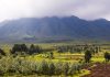 Virunga Volcanoes